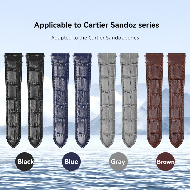 Para Cartier Santos correa de  - Cartier Watch Santos reseña y precio